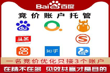 百度广告竞价之成功案例：某行业领军企业的崛起之路